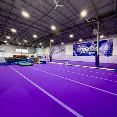 Perfect Storm Athletics Gym 1