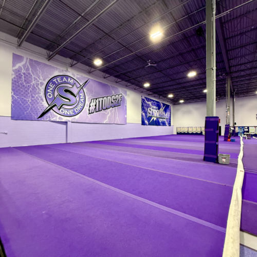 Perfect Storm Athletics Gym 2