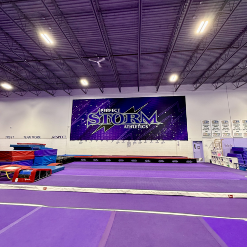 Perfect Storm Athletics Gym 3